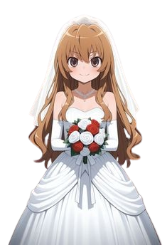 Taiga Aisaka Toradora